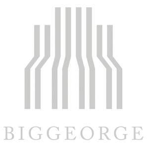 Biggeorge Holding logo